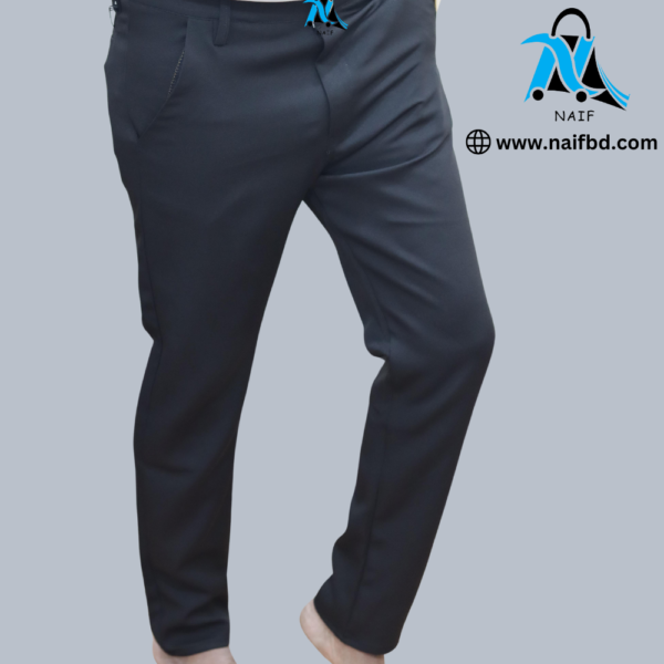 Formal pant